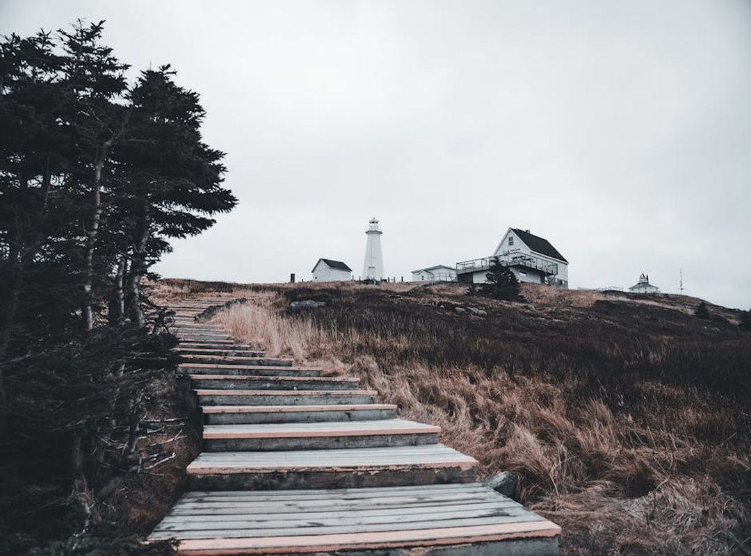 How to Use the 0098 Landcode: A Step-by-Step Guide