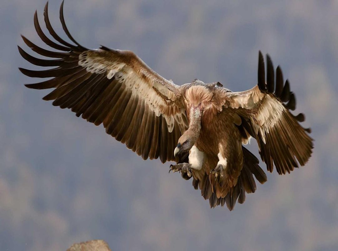 Planning for the Future: Shared Strategies for Life After the Game