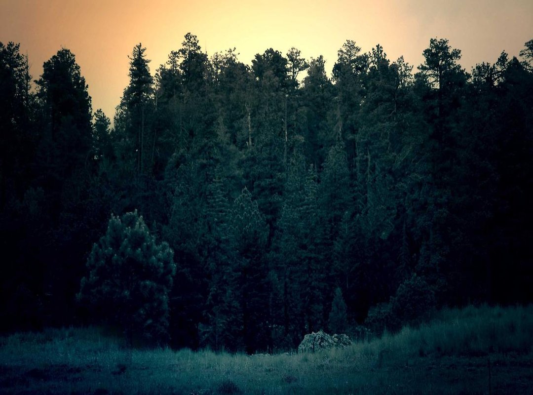 Meet Coco Legrand: The Comedy Icon and His Real-Life Partner