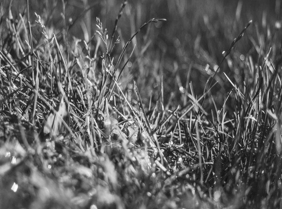 Sexually Fluid vs. Pansexual: A Side-by-Side Comparison